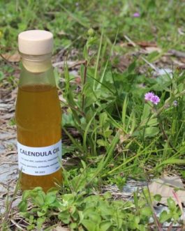 SAN FANTINO Calendula oil