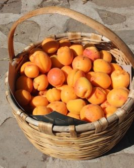 SAN  FANTINO  Apricot jam