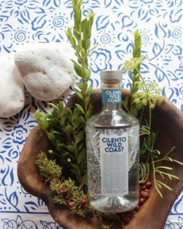 Gin Cilento Wild Coast 0.70 litre bottle