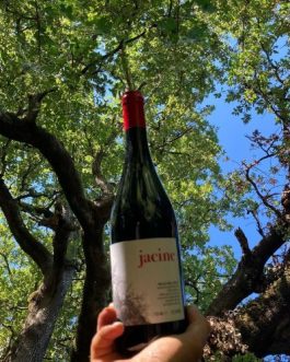 Wine Jacine Pinot Noir 2017 case of 6