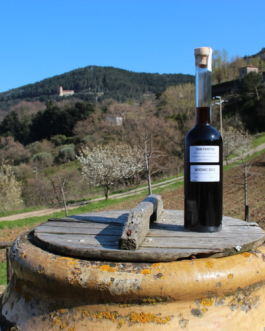 SAN  FANTINO  Nocino (Walnut liquor)